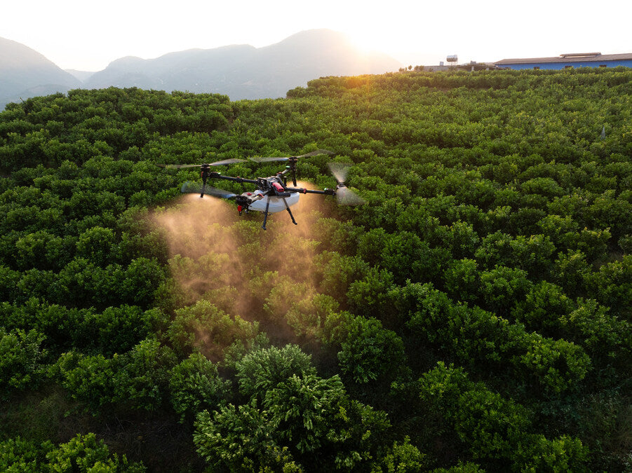 XAG P150 Max agricultural drone in Fernvale Queensland